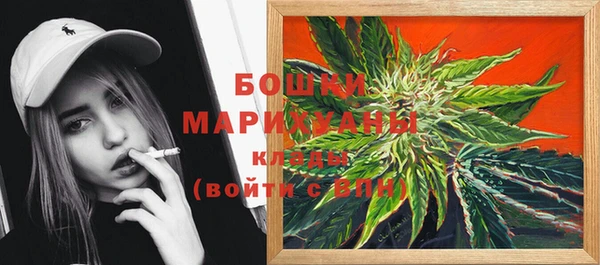 прущие грибы Баксан