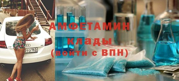 прущие грибы Баксан