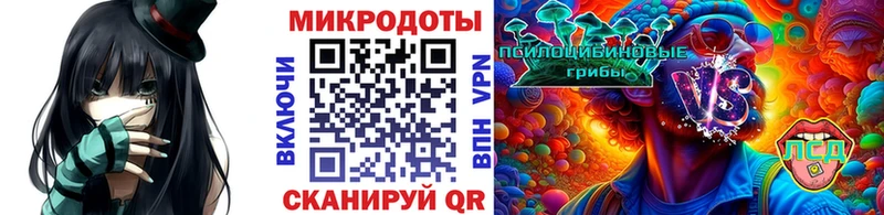 ссылка на мегу Гатчина Галлюциногенные грибы Magic Shrooms